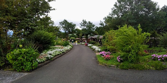 花公園の写真